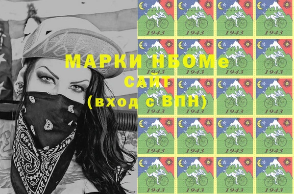 стафф Зеленокумск