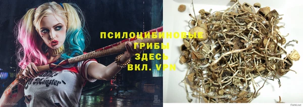 стафф Зеленокумск