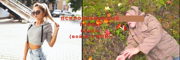 стафф Зеленокумск