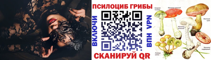 Галлюциногенные грибы GOLDEN TEACHER  Купить где  Лакинск 